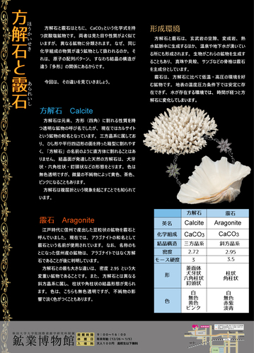 方解石と霰石パネル