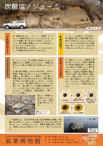 炭酸塩ノジュールパネル